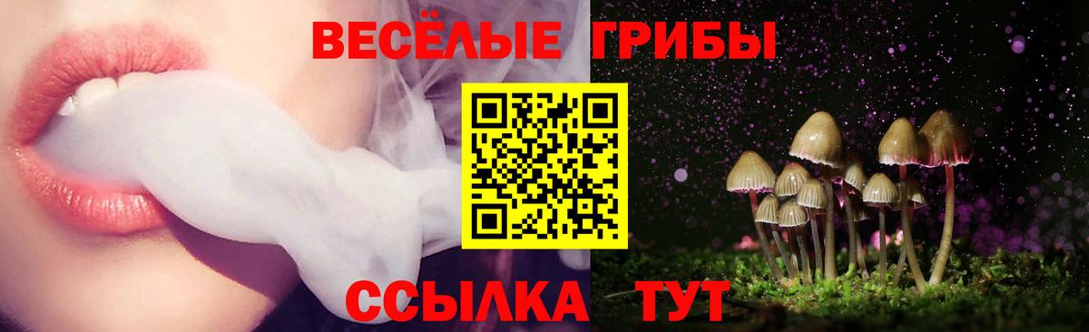 Псилоцибиновые грибы GOLDEN TEACHER  Вход с VPN  Старый Оскол 